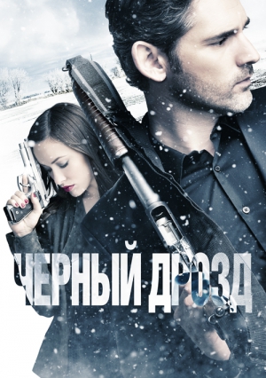 Черный дрозд
