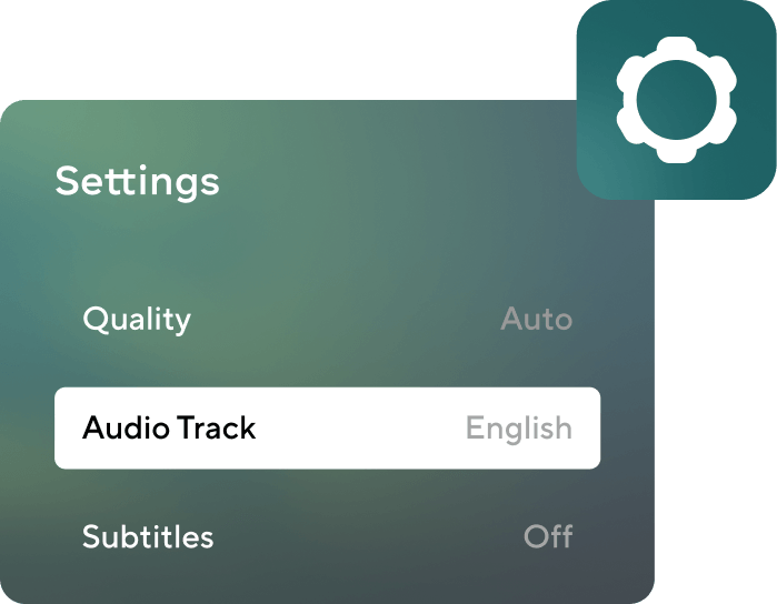 Audio track, subtitles, and video quality settings