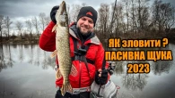В цій ямі ПОВНО ЩУКИ! Зимова пасивна ЩУКА 2023