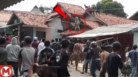 What They Captured on Camera Shocked the Whole World