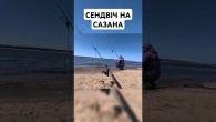 Ловлю сазанов на сендвіч кукурузы з пуффом
