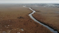СТРУМОК КИШИТЬ ЛЯЩЕМ відкрив човновий сезон