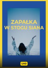 Zapałka w stogu siana UHD — plakat