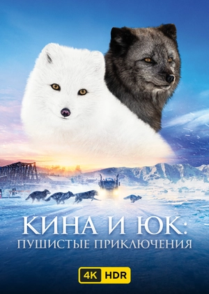 Кина и Юк: Пушистые приключения UHD HDR
