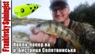 Попла-попер на р. Бистриця Солотвинська|Один спінінг - дві різні риболовлі на хижака та мирну рибу