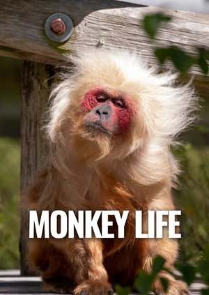 Monkey Life