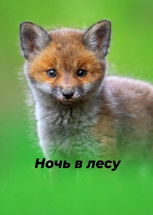 Ночь в лесу