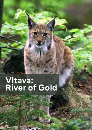 Vltava — River of Gold