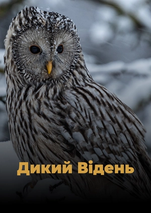 Дикий Відень