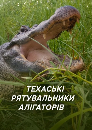 Техаські рятувальники алігаторів