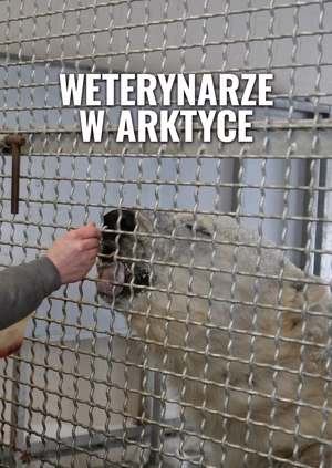 Weterynarze w Arktyce