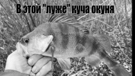 Окунь на микруху осенью