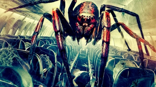 Spiders on a Plane