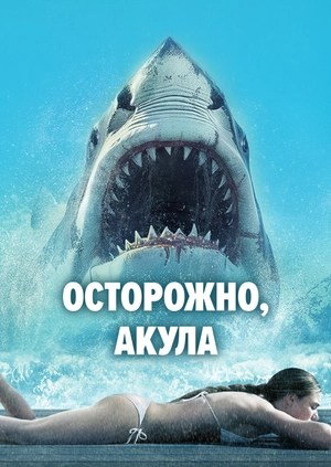 Осторожно, акула