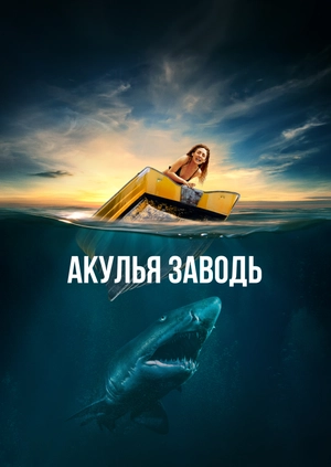 Акулья заводь