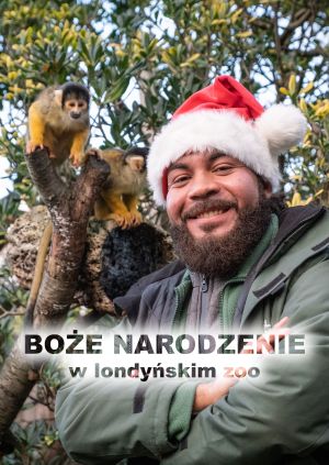 Boże Narodzenie w londyńskim zoo — plakat