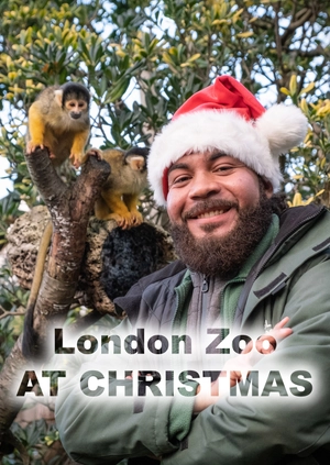 London Zoo at Christmas