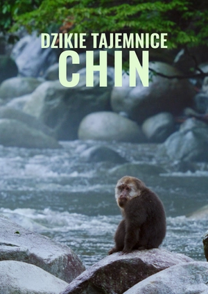 Dzikie tajemnice Chin