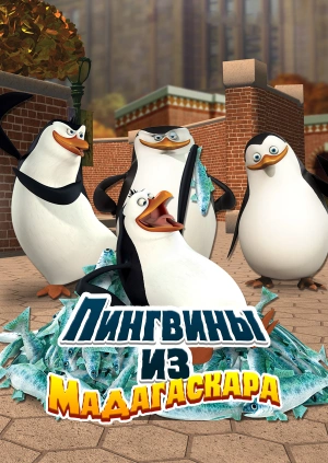 Пингвины из Мадагаскара