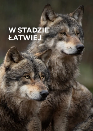 W stadzie łatwiej