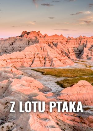 Z lotu ptaka — plakat