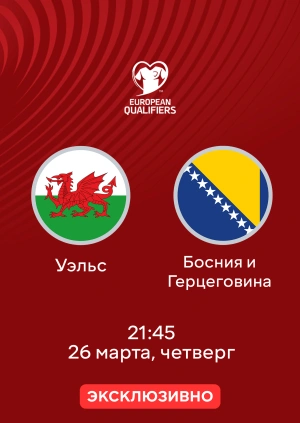 Уэльс — Босния и Герцеговина