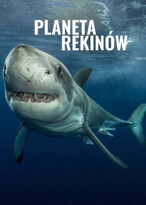 Planeta Rekinów