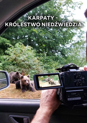 Karpaty - królestwo niedźwiedzia