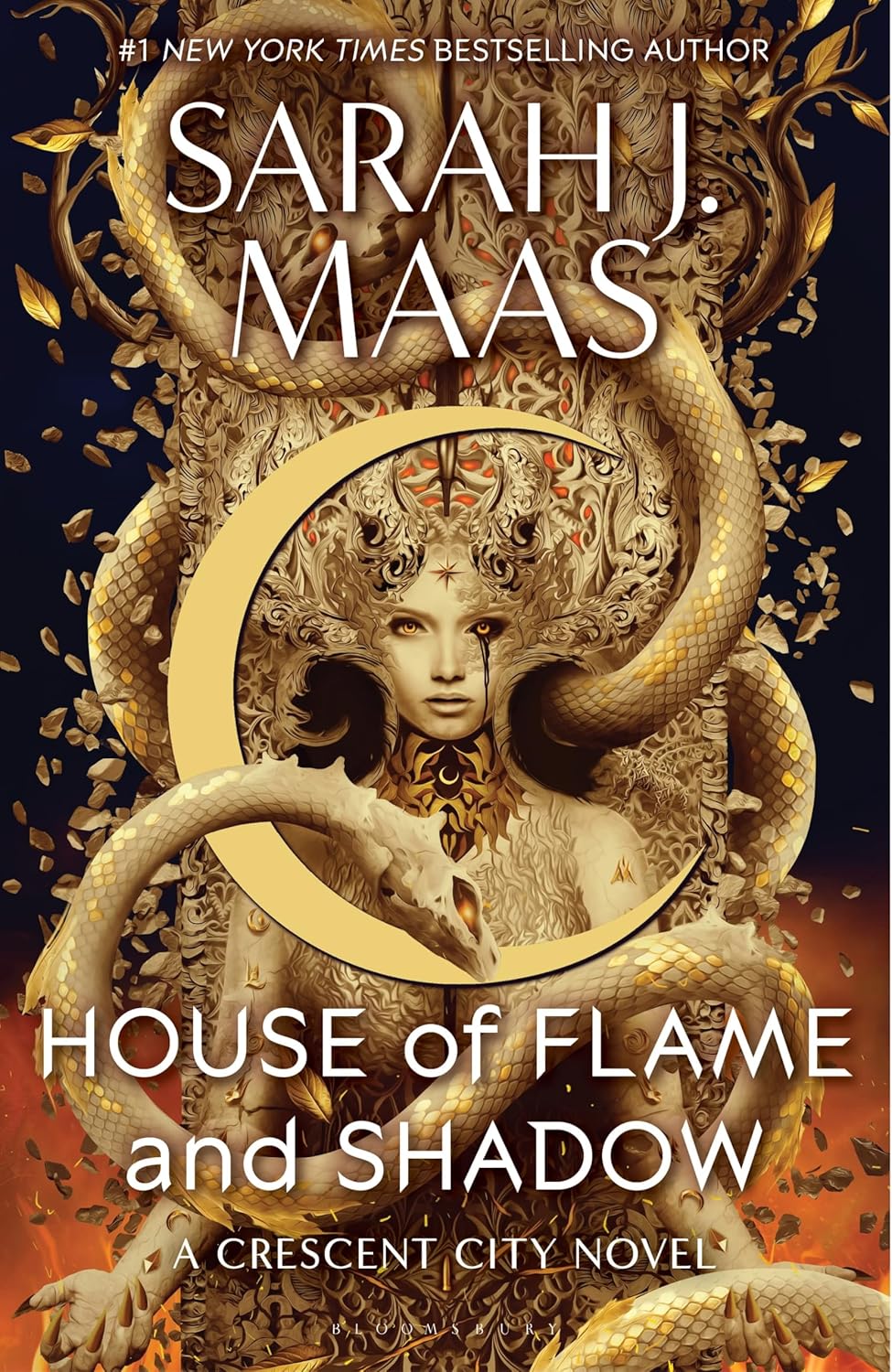 Обкладинка видання House of flame and shadow