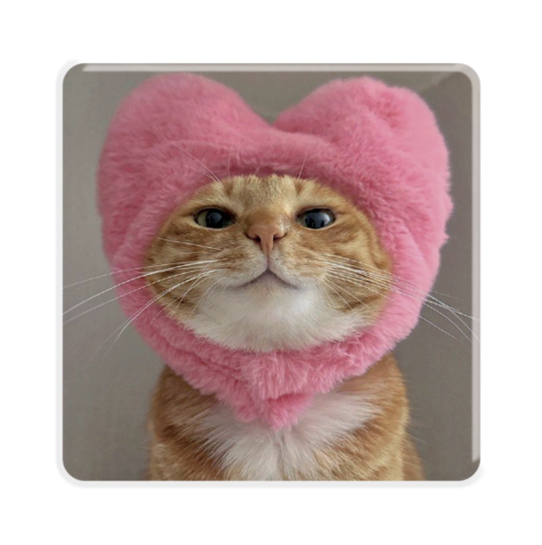 3D стікер «Love Kitty»