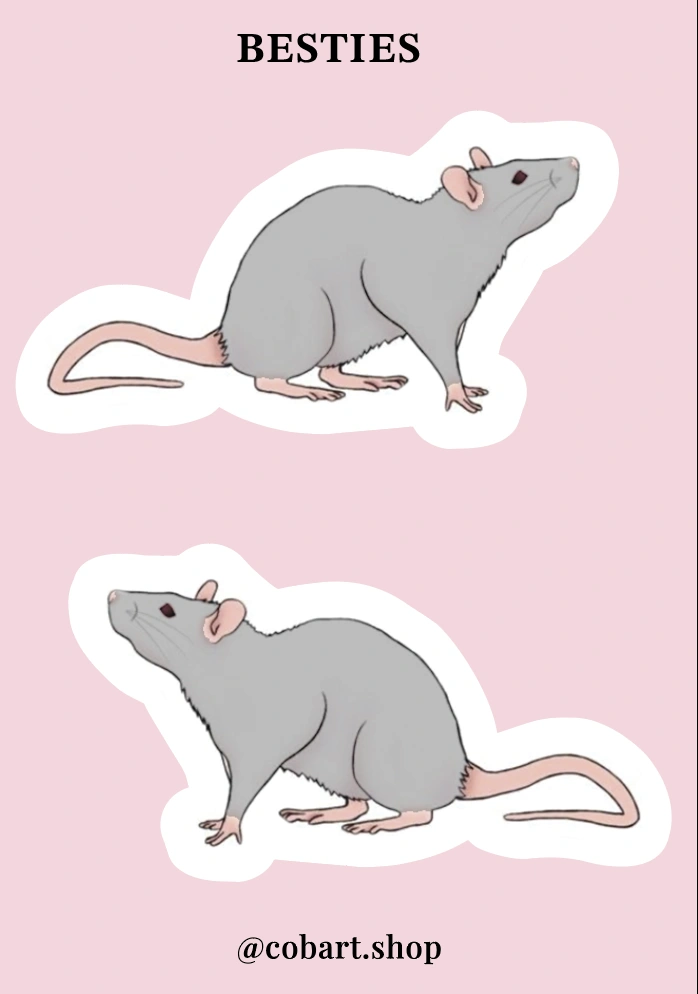 Об'ємні стікери «Besties»