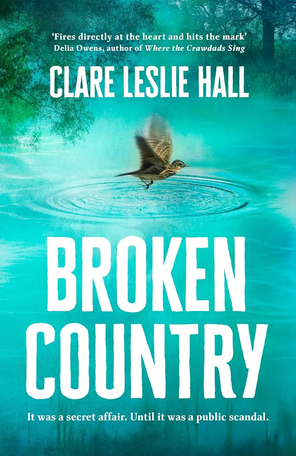 Обкладинка "Broken Country"