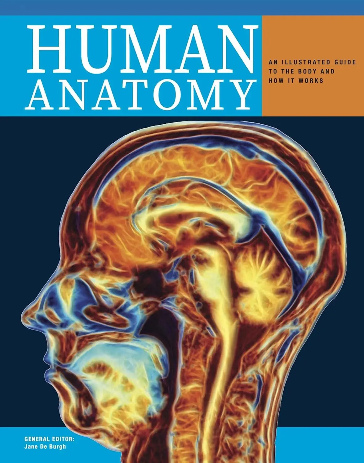 Human Anatomy: An Illustrated Guide to the Structure and Function of the Body