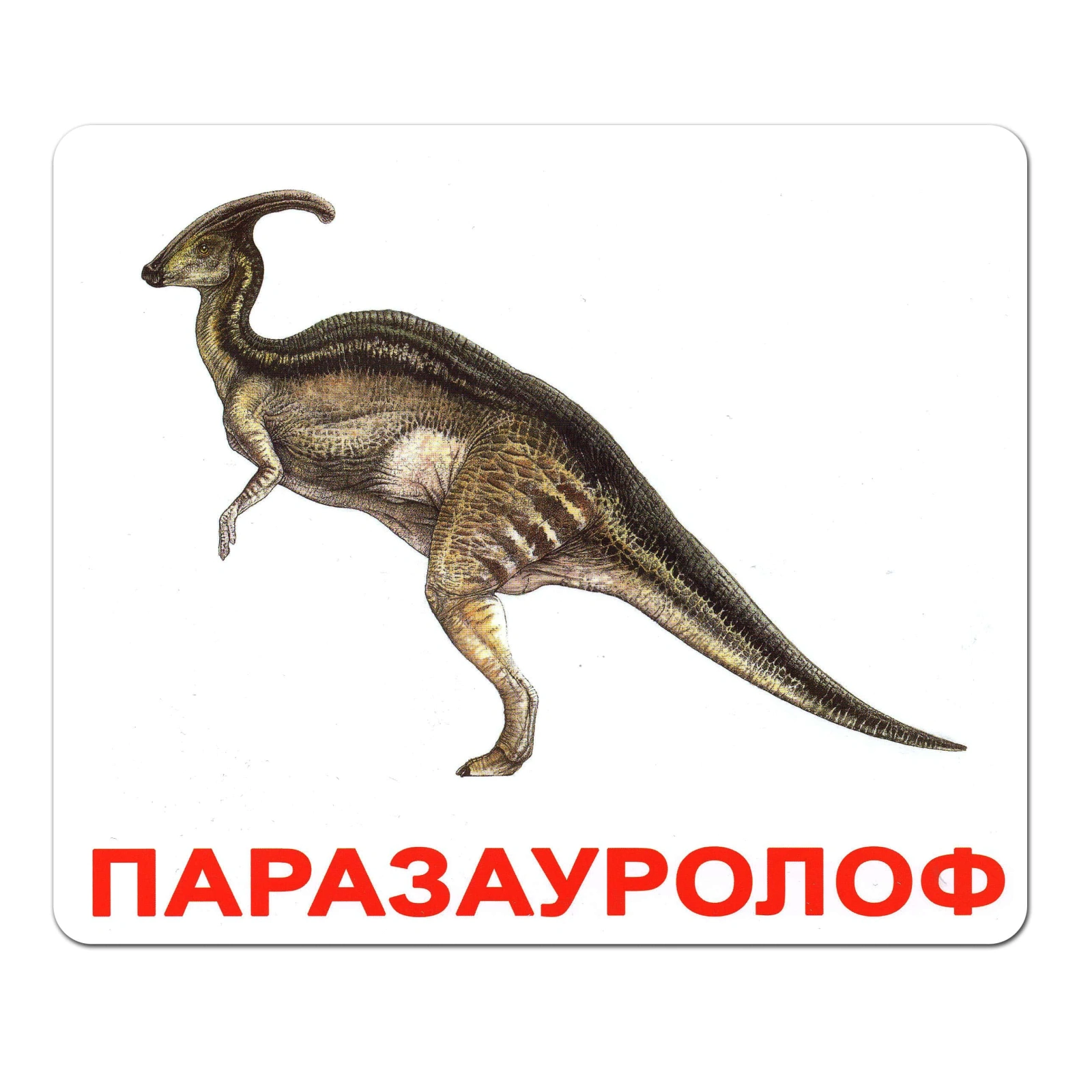 Ламіновані картки Домана «Динозаври»