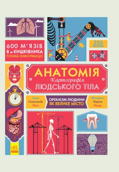 Анатомія. Картографія людського тіла