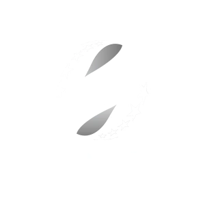 Буковина — Динамо