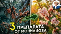 Серія 377