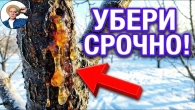 Серія 375