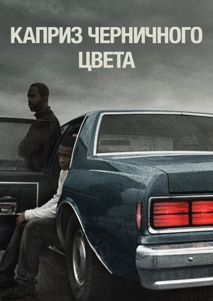 Каприз черничного цвета