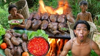 How to Survive in the Rainforest - Primitive Boy Shows You How to Make Delicious Cooking Pig Kidney