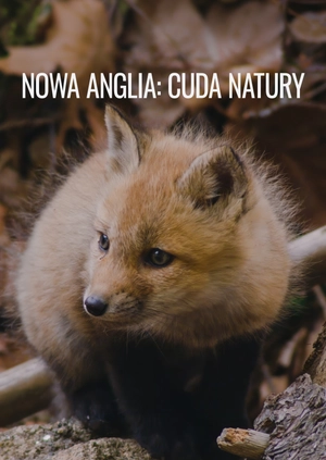 Nowa Anglia: cuda natury