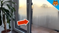 5 Things You MUST Do If Your Windows Are Fogged Up Or Wet