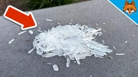 The BEST Remedy against Ants(But almost NO ONE knows it)