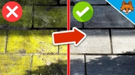 Remove Green Algae from Stones with this MIRACLE SOLUTION(It couldn't be easier)
