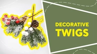 Decorative twigs