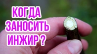 Серія 622
