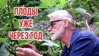 Серія 612