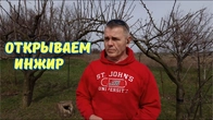 Что нужно для открытия инжира и граната.