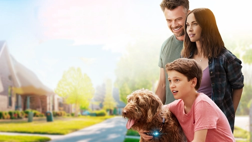 Think Like a Dog UHD HDR