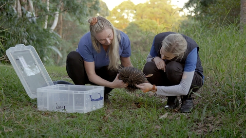 Episode 8. Patsy the Echidna